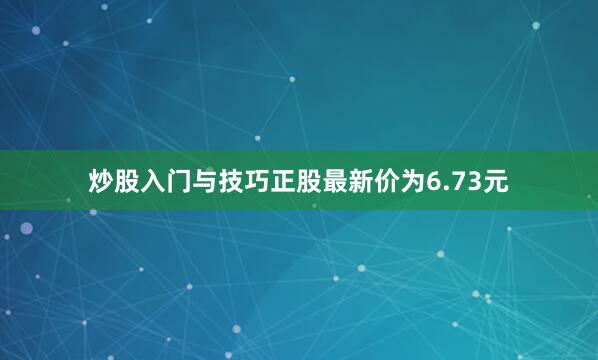 炒股入门与技巧正股最新价为6.73元