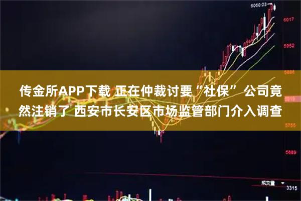 传金所APP下载 正在仲裁讨要“社保” 公司竟然注销了 西安市长安区市场监管部门介入调查