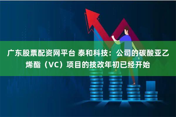 广东股票配资网平台 泰和科技：公司的碳酸亚乙烯酯（VC）项目的技改年初已经开始