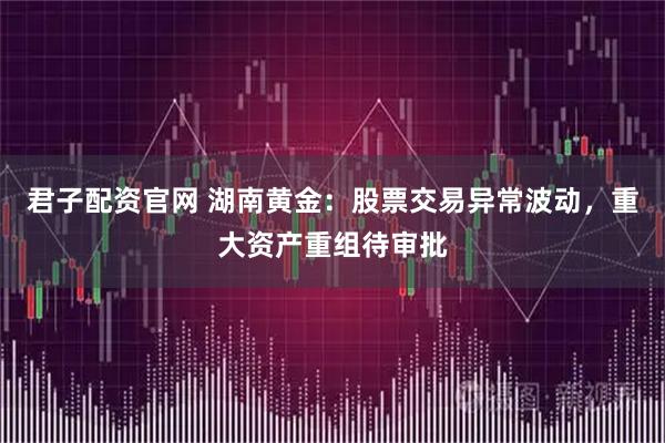 君子配资官网 湖南黄金：股票交易异常波动，重大资产重组待审批