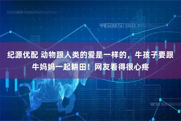 纪源优配 动物跟人类的爱是一样的，牛孩子要跟牛妈妈一起耕田！网友看得很心疼