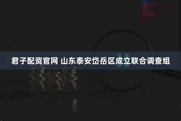 君子配资官网 山东泰安岱岳区成立联合调查组